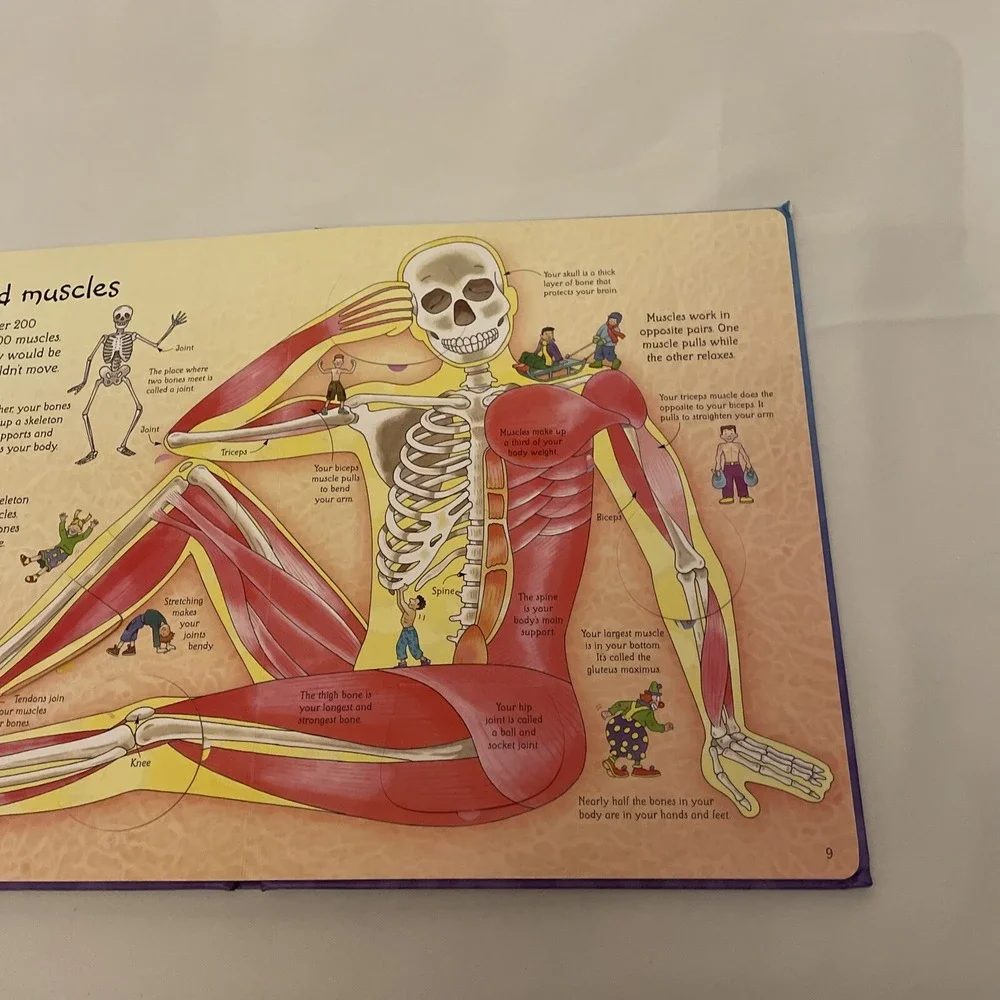 See Inside Your Body Large Board book With Educational‎ Information And Flaps
